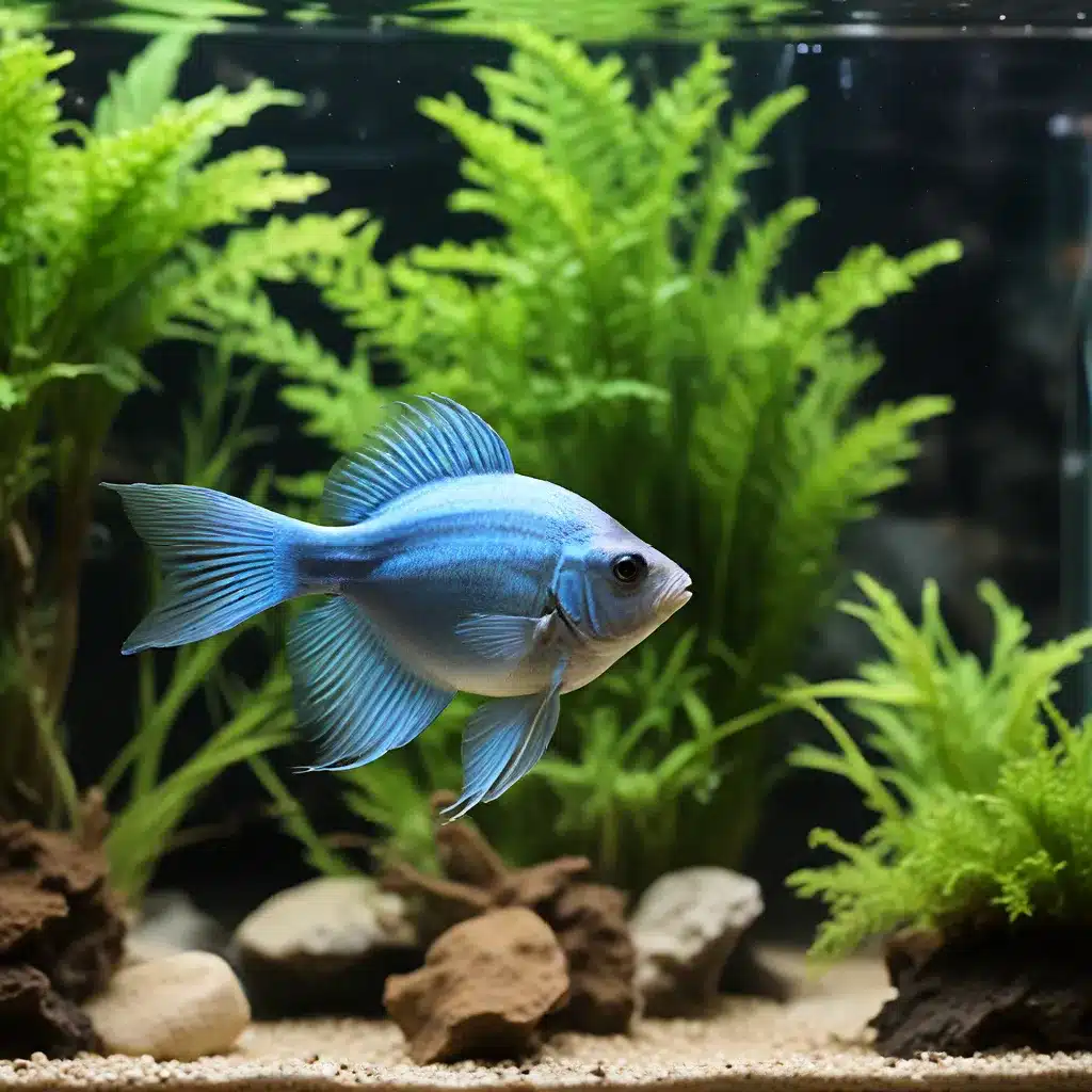 Troubleshooting Common Water Quality Issues: Maintaining a Thriving Aquarium Ecosystem